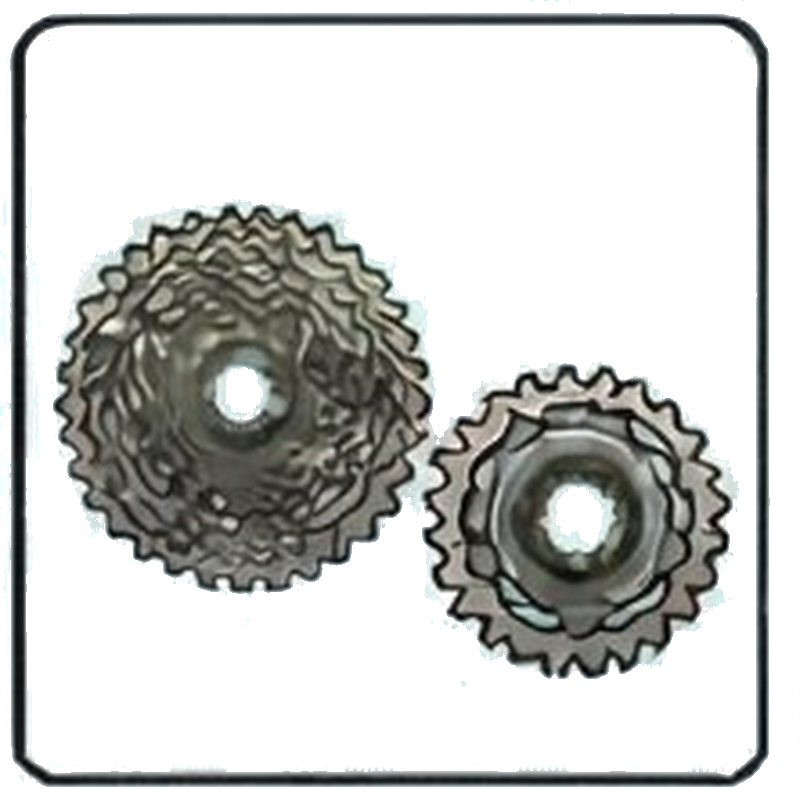 Cassettes & Freewheels