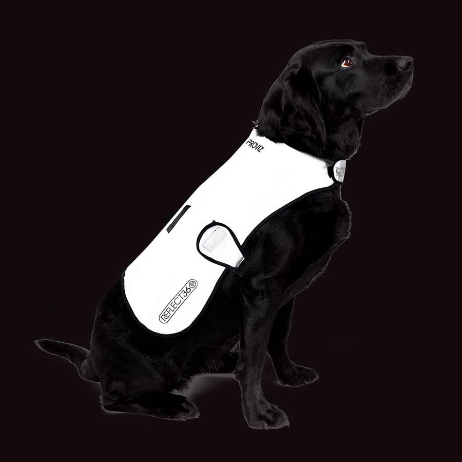 Proviz, Dog Cover, Silver, XL